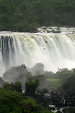 Foz do Iguaçu - Chutes d